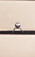 Load image into Gallery viewer, 925 Silver Whiskered Elegance Imprint Ring (w/o diamond)