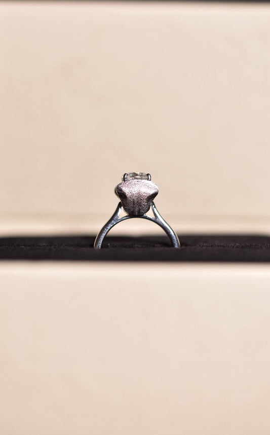 925 Silver Whiskered Elegance Imprint Ring (w/o diamond)