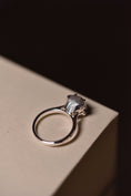Load image into Gallery viewer, 925 Silver Whiskered Elegance Imprint Ring (w/o diamond)