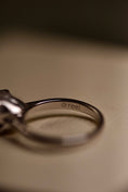 Load image into Gallery viewer, 925 Silver Whiskered Elegance Imprint Ring (w/o diamond)