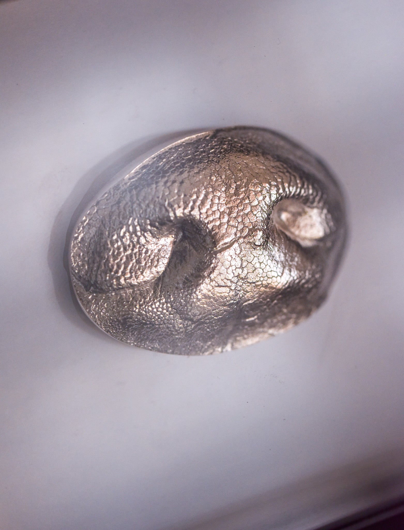 【<20kg 犬】單面紋印吊墜