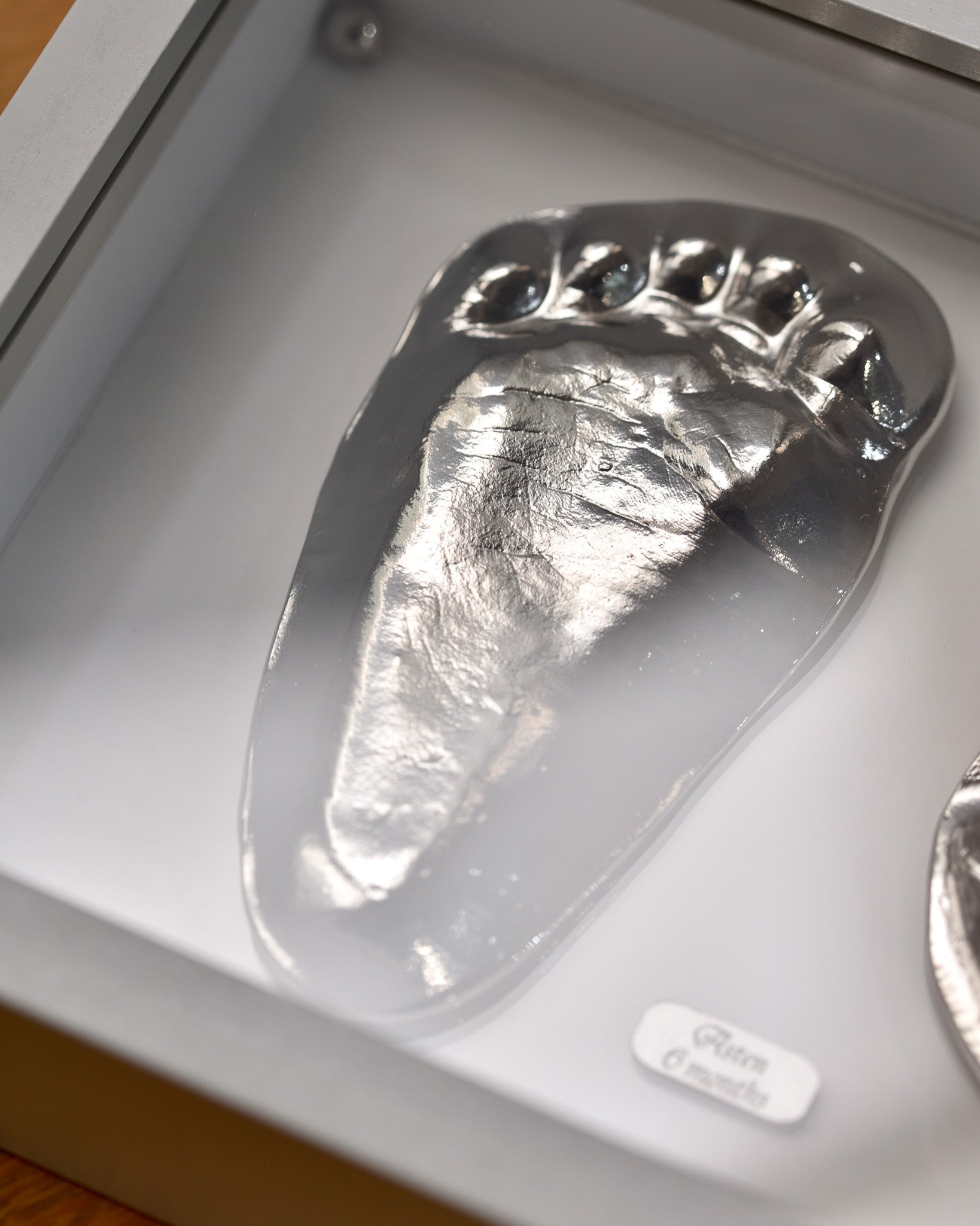 925 Silver New Born Baby & Pet-print Decoration