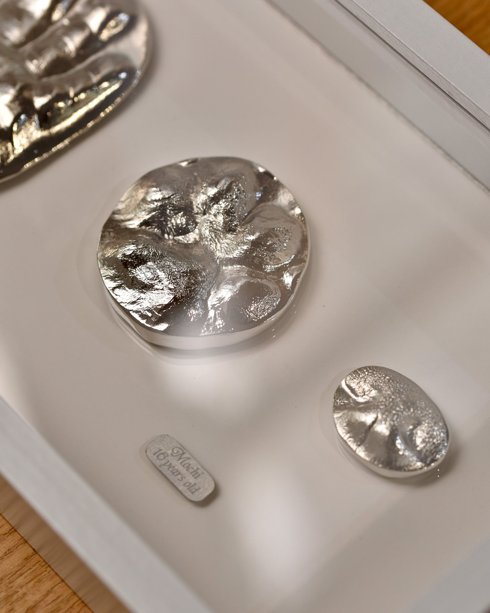 925 Silver New Born Baby & Pet-print Decoration