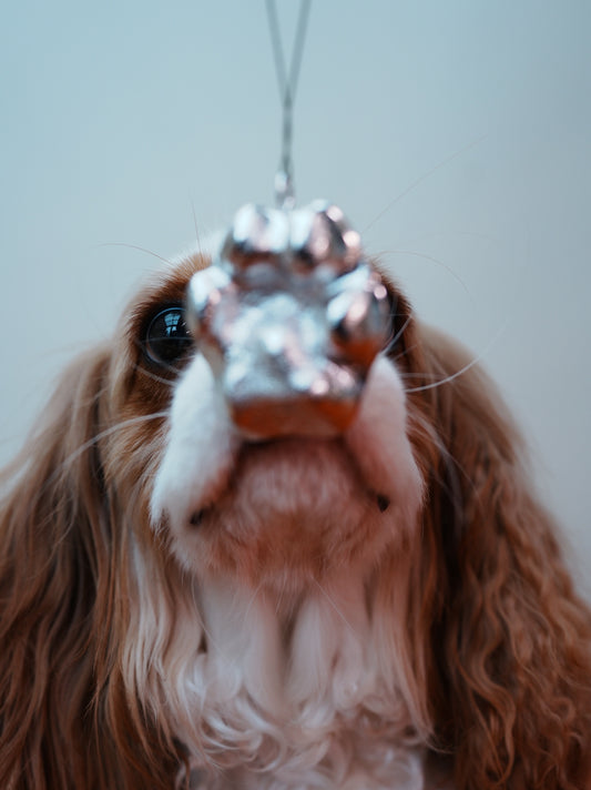 【<14kg DOG】Single-side - 1:1 Paw Imprint Pendant